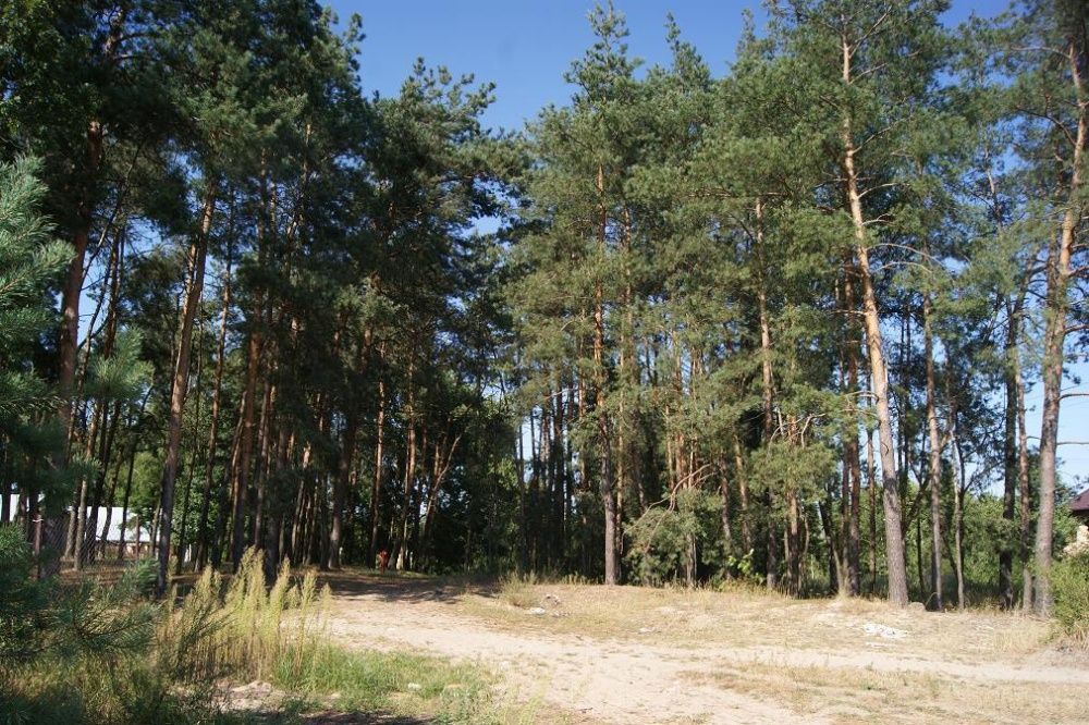 Działka budowlana Choszczówka Rudzka. Zdjęcie 8