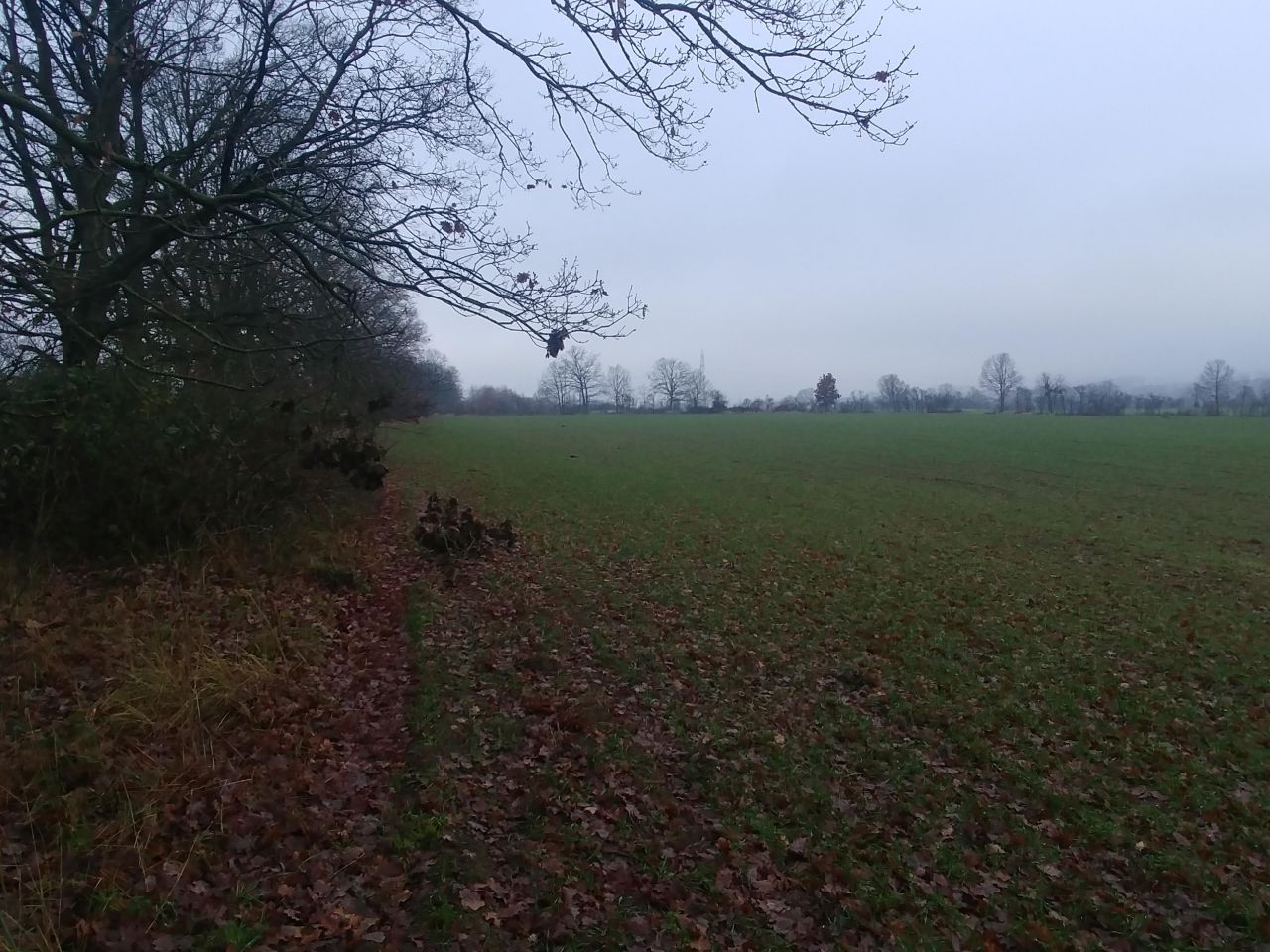 Działka rolno-budowlana Binowo. Zdjęcie 2