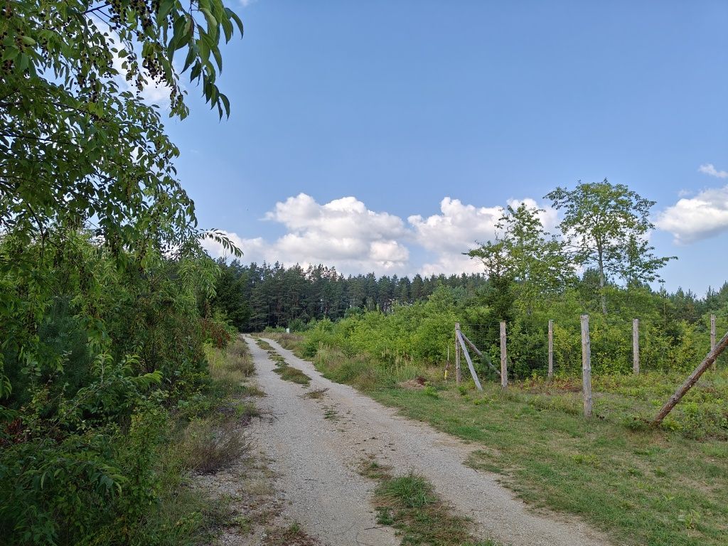 Działka budowlana Dalny Las. Zdjęcie 4