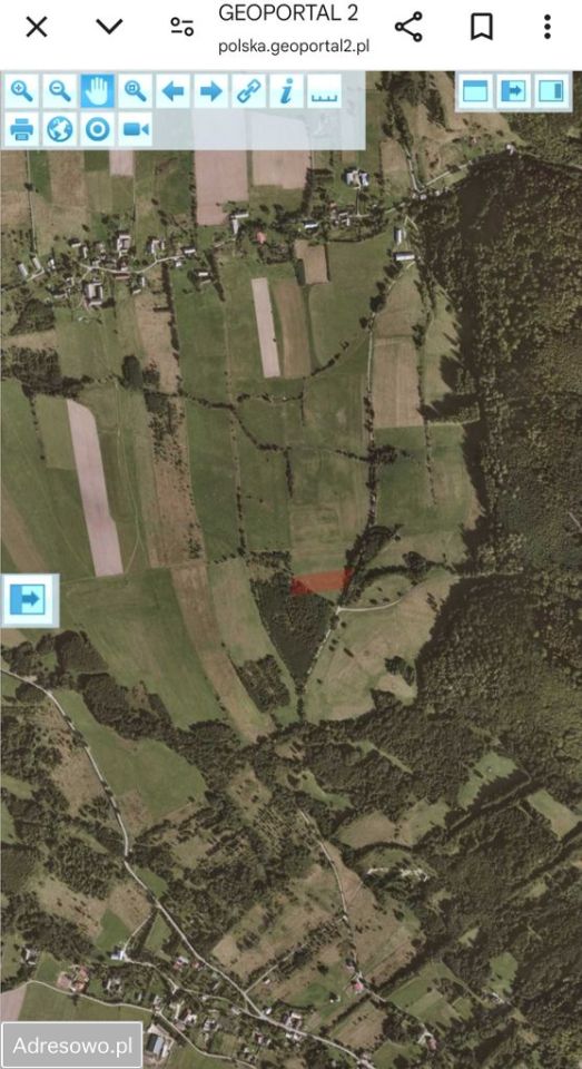 Działka rolna Jaworek. Zdjęcie 6