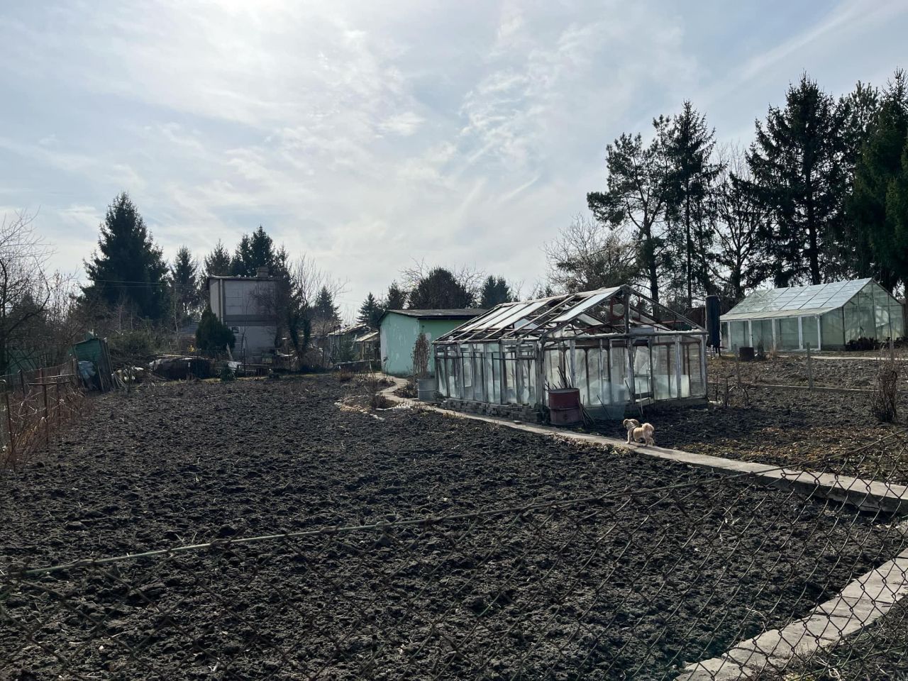 Działka rod Chełm. Zdjęcie 3