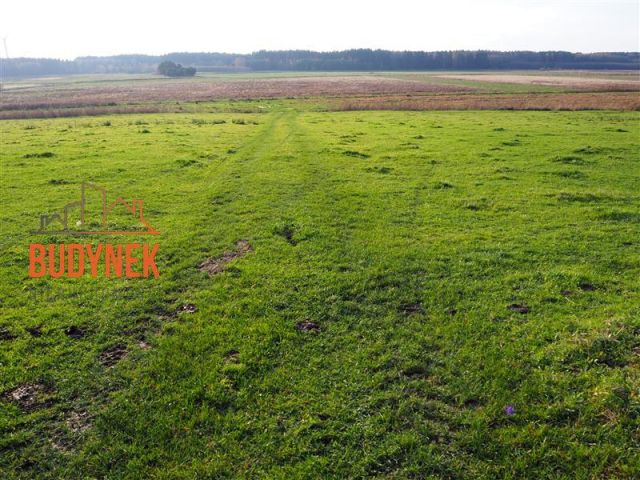 Działka rolna Krupy. Zdjęcie 14