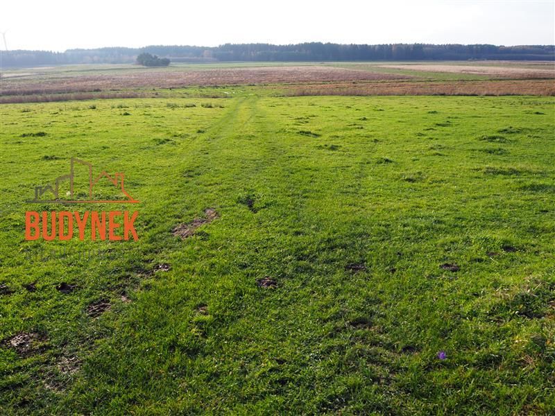 Działka rolna Krupy. Zdjęcie 14