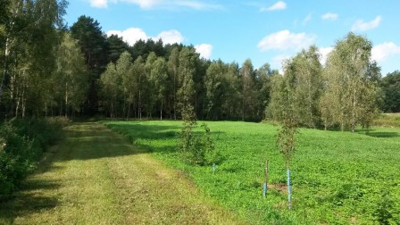 Działka rolno-budowlana Makowiska