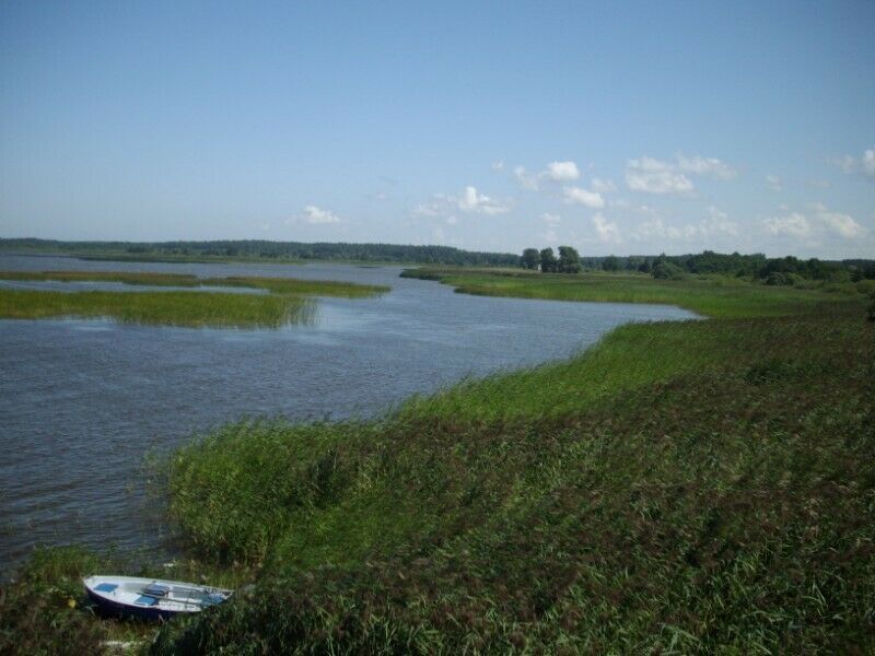 Działka budowlana Izbica. Zdjęcie 3