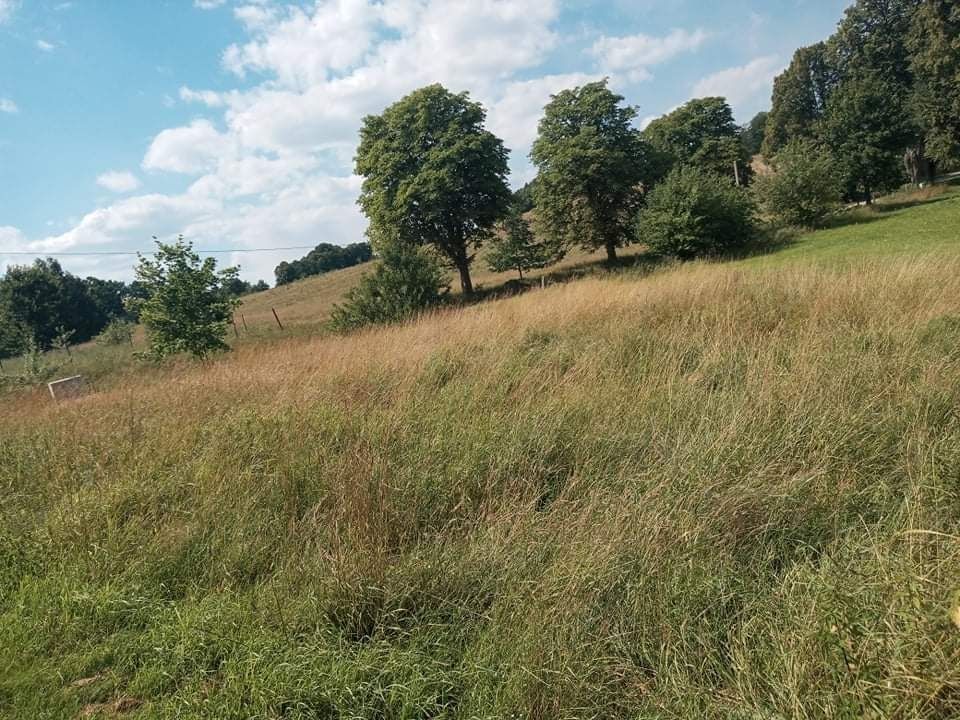 Działka budowlana Okalice. Zdjęcie 1