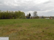 Działka Guty. Zdjęcie 4