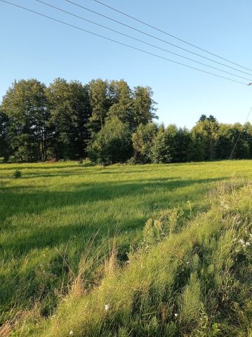 Działka rolna Siemiatycze. Zdjęcie 1