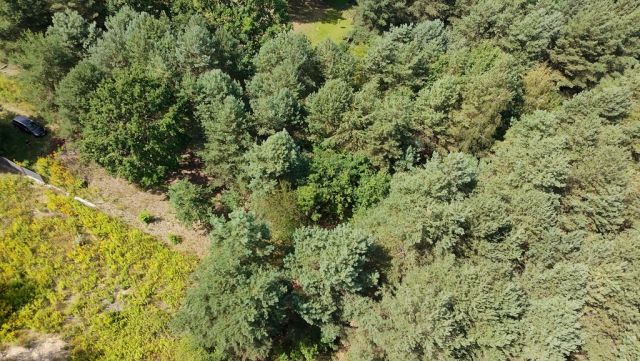 Działka budowlana Kady. Zdjęcie 5