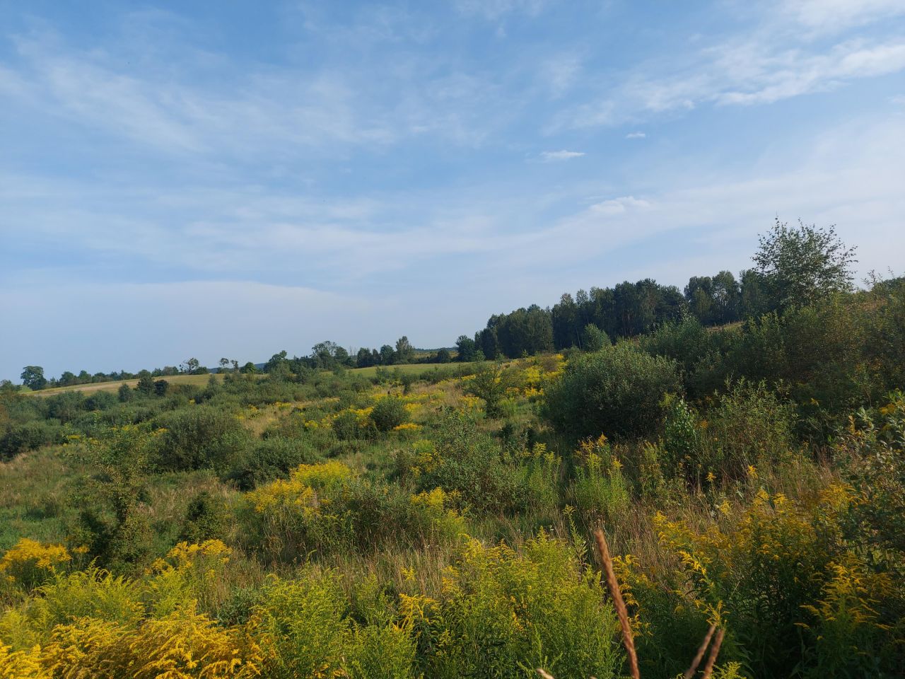 Działka rolno-budowlana Marcinkowo. Zdjęcie 8