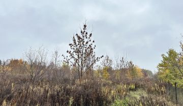 Działka rolna Sochaczew, ul. Rozlazłowska