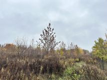 Działka rolna Sochaczew, ul. Rozlazłowska