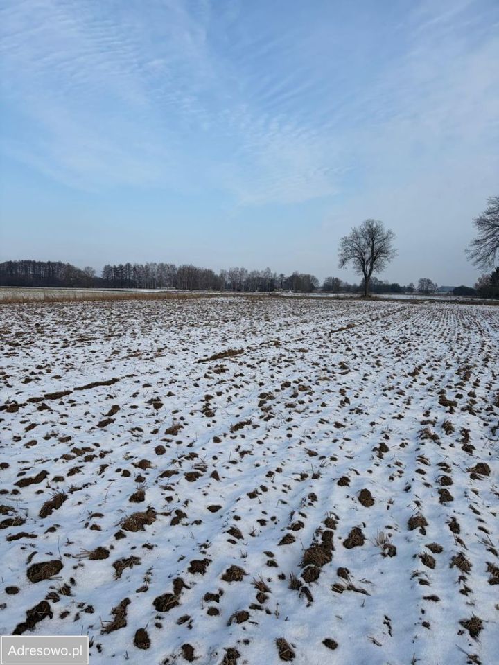 Działka budowlana Bartoszów. Zdjęcie 4