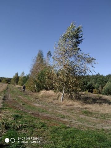 Działka rolno-budowlana Helenka. Zdjęcie 1