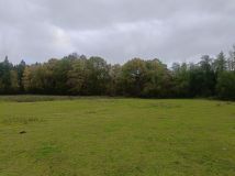 Działka rolna Garbatka. Zdjęcie 3