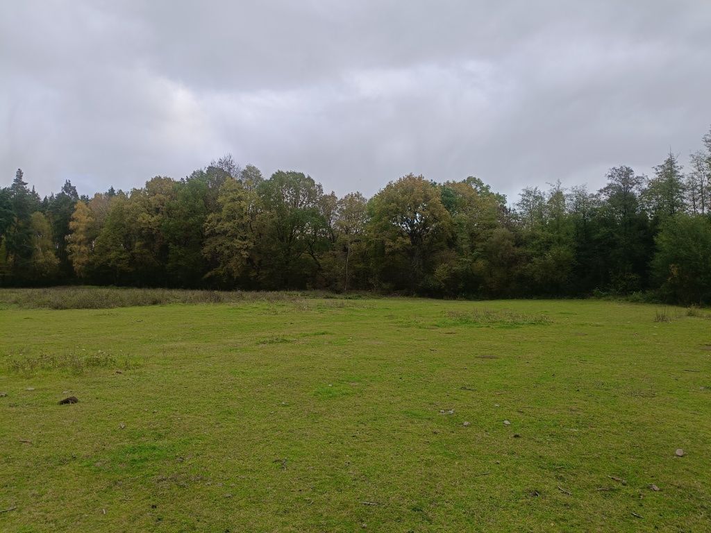 Działka rolna Garbatka. Zdjęcie 4