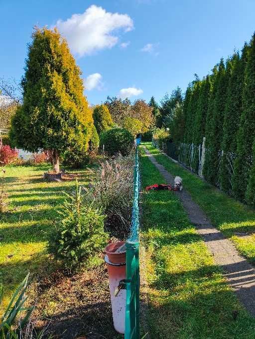 Działka rod Łódź Polesie, ul. Krakowska. Zdjęcie 2