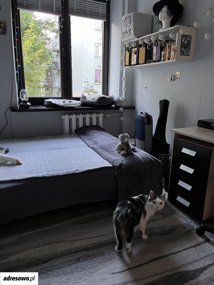 Mieszkanie 3-pokojowe Siedlce, ul. 3 Maja. Zdjęcie 18