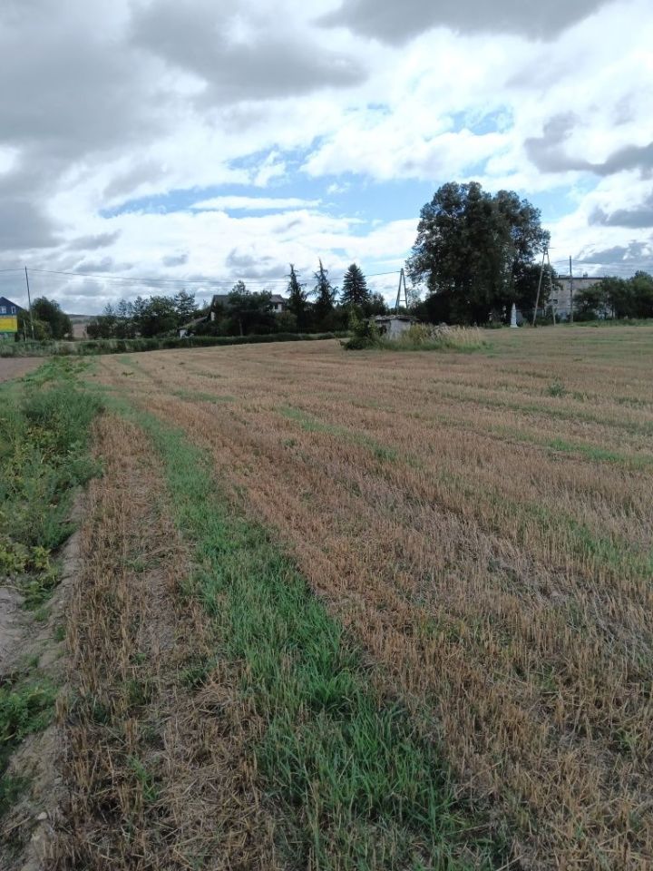Działka budowlana Gorajec-Zagroble. Zdjęcie 6