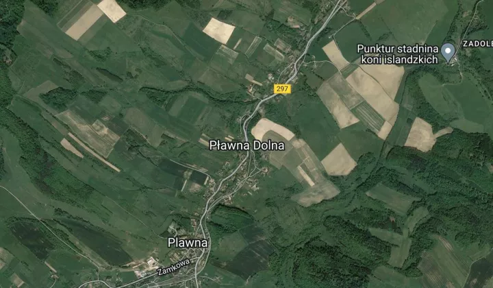 Nieruchomość komercyjna Pławna Dolna