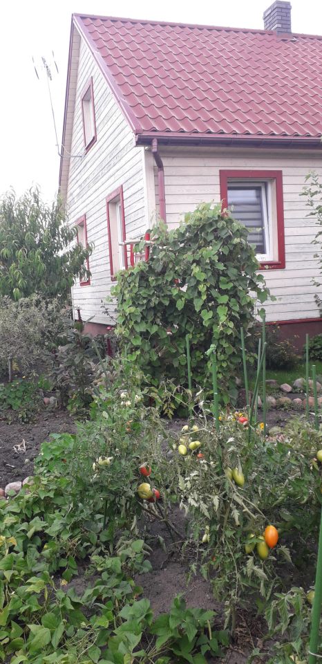 dom wolnostojący, 3 pokoje Studzianki. Zdjęcie 14