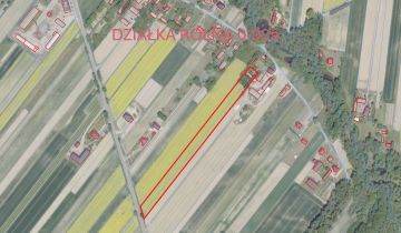Działka siedliskowa Kępa Borzechowska