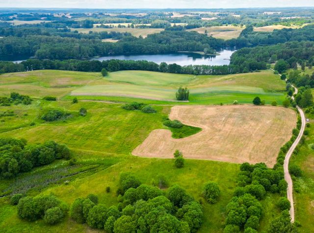 Działka rekreacyjna Kluczewo, ul. Polna. Zdjęcie 1