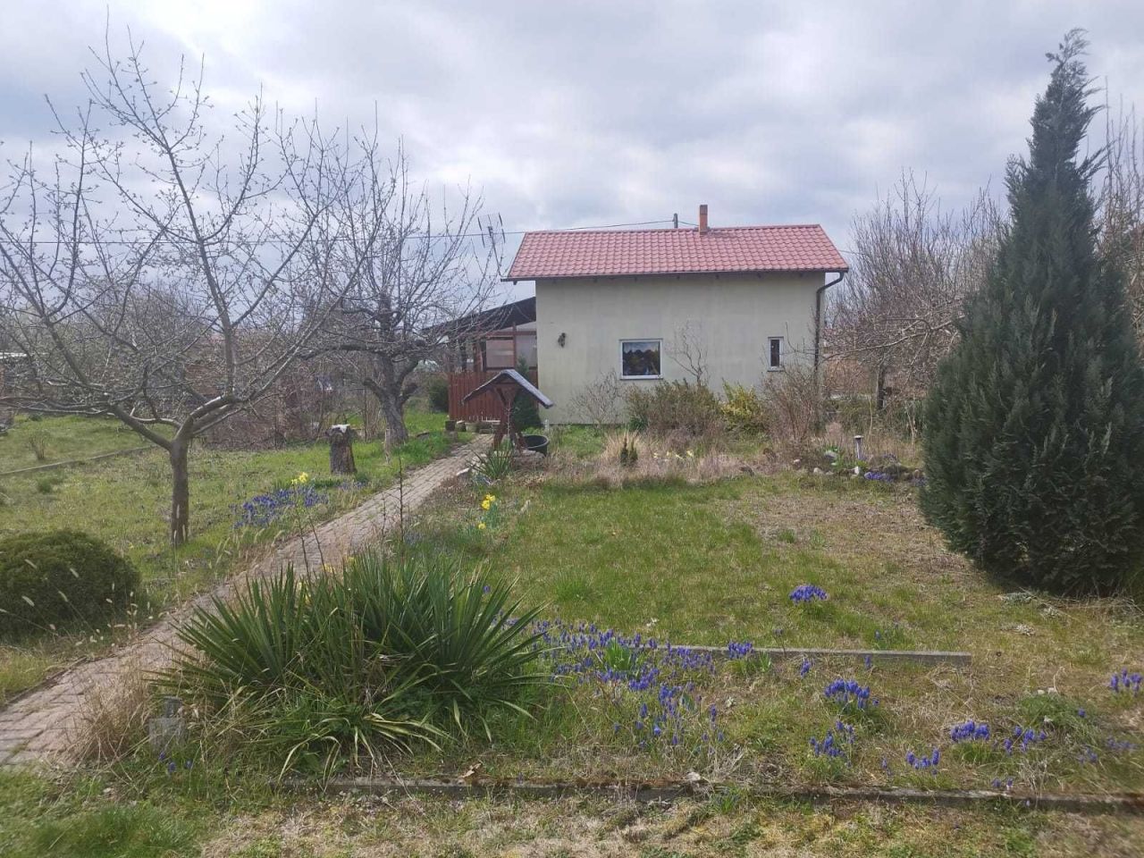 Działka rod Wronki. Zdjęcie 2