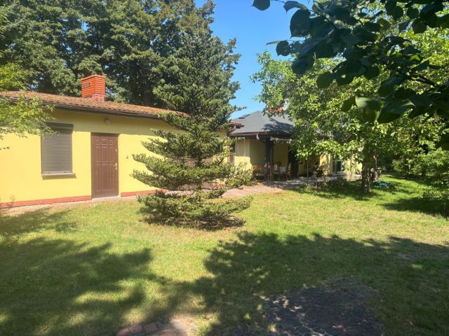 Działka rolna Wola Szydłowiecka. Zdjęcie 1