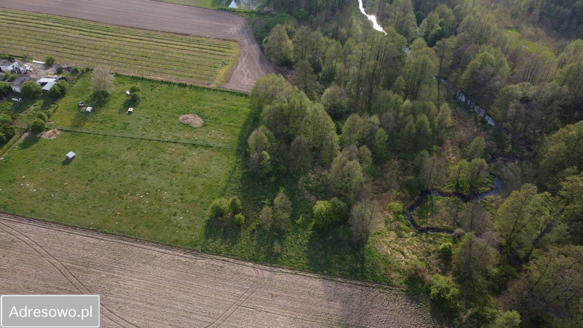 Działka rolno-budowlana Lubiska-Kolonia. Zdjęcie 6