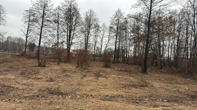 Działka budowlana Jaktorów, Szwolwzerow. Zdjęcie 3