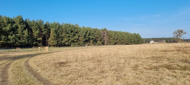 Działka rolno-budowlana Nowa Niedrzwica. Zdjęcie 1