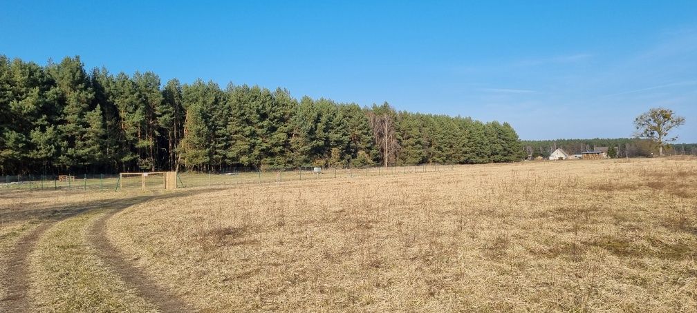 Działka rolno-budowlana Nowa Niedrzwica. Zdjęcie 1