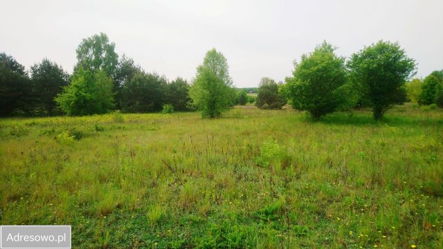 Działka budowlana Popielżyn-Zawady. Zdjęcie 1