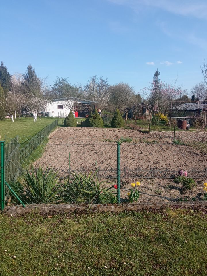 Działka rod Oleśnica, ul. Wileńska. Zdjęcie 5