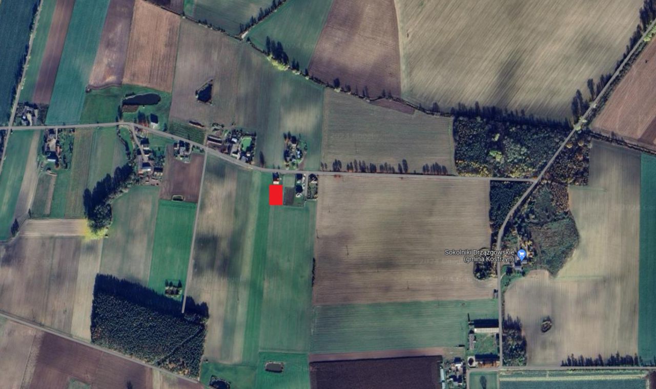 Działka budowlana Sokolniki Klonowskie. Zdjęcie 4