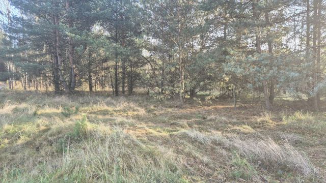 Działka rolno-budowlana Dubielno. Zdjęcie 1