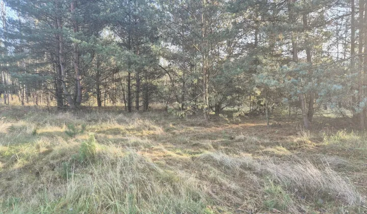 Działka rolno-budowlana Dubielno