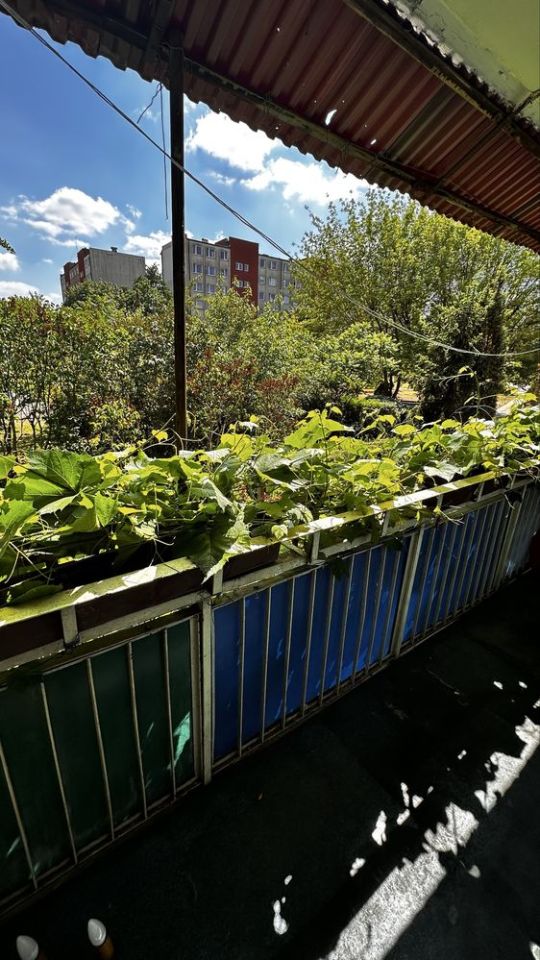 Mieszkanie 2-pokojowe Otwock Ługi. Zdjęcie 7