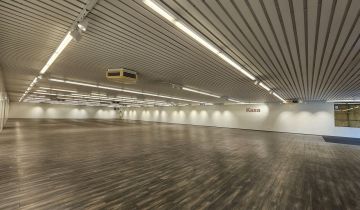 Nieruchomość komercyjna Poznań Nowe Miasto, os. Stare Żegrze