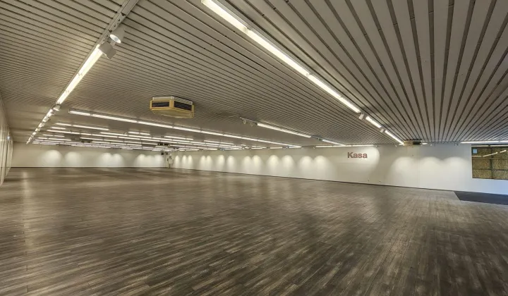 Nieruchomość komercyjna Poznań Nowe Miasto, os. Stare Żegrze