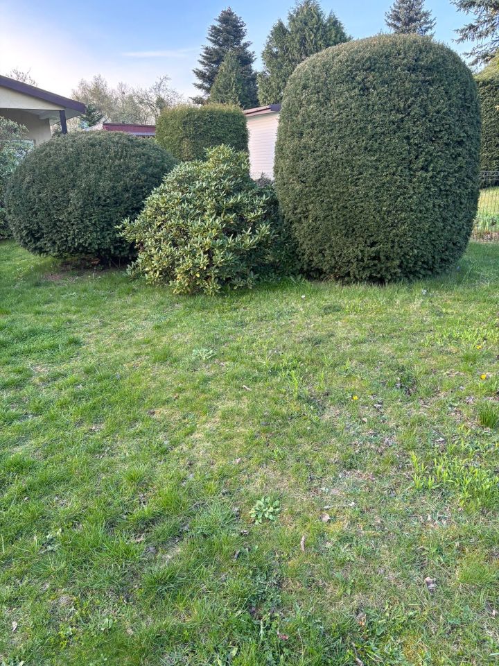 Działka rod Łagiewniki Nowe. Zdjęcie 2