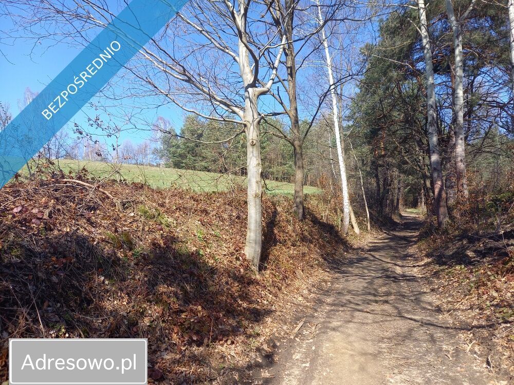 Działka budowlana Sanok Olchowce. Zdjęcie 10