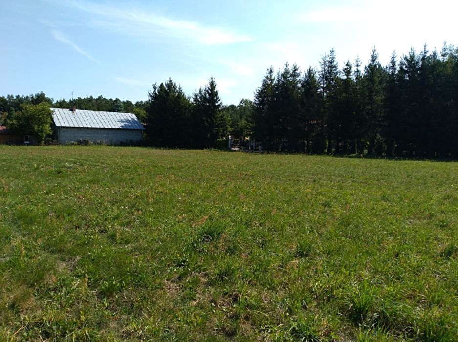 Działka rolna Brzeźce, ul. Główna. Zdjęcie 4