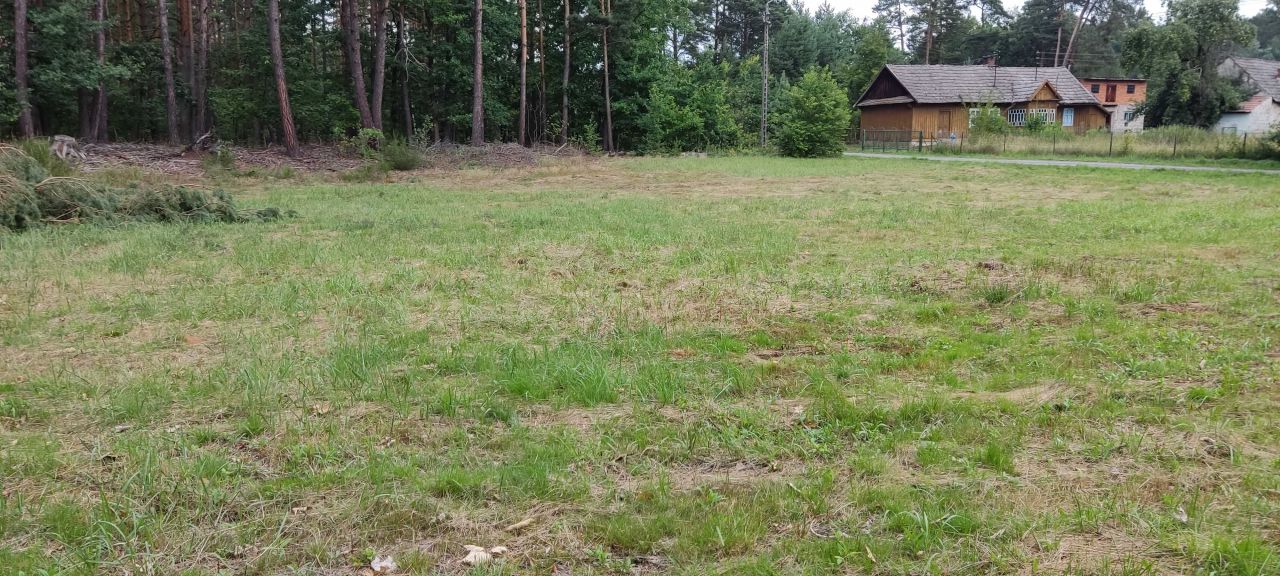 Działka rolno-budowlana Borzęcin Czarnawa. Zdjęcie 7