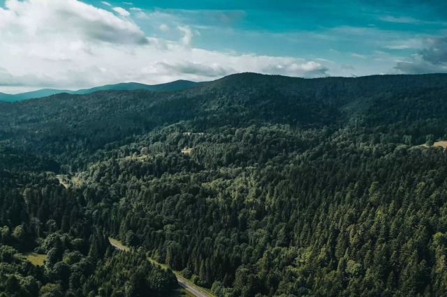 Działka leśna Kuźmina. Zdjęcie 1