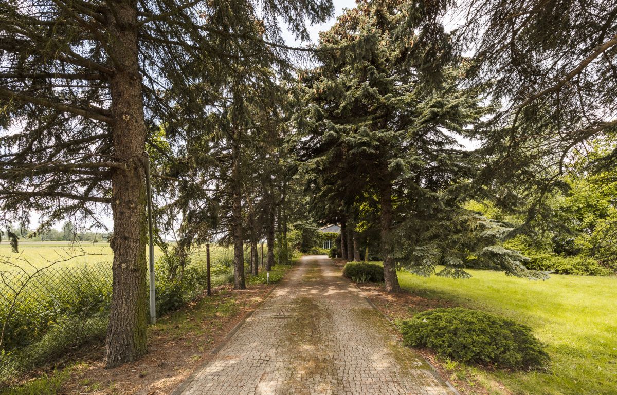 dom wolnostojący, 12 pokoi Tłuste. Zdjęcie 9