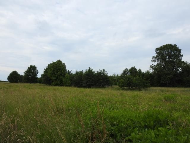 Działka budowlana Niemcza, ul. Jasna. Zdjęcie 2