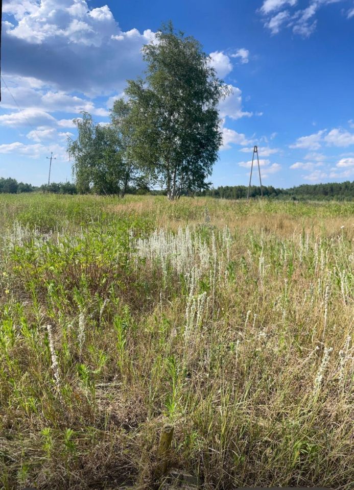 Działka budowlana Cegielnik. Zdjęcie 2