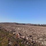 Działka rolna Helenów. Zdjęcie 2